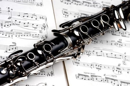 Musical Instrument Petting Zoo at West Pearland Library
