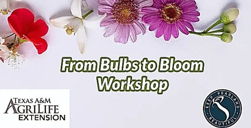 From Bulbs To Bloom In-Person Workshop