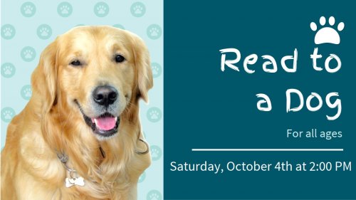 Read to a Dog at Pearland Library