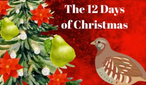 12 Days of Christmas at Pearl Theater