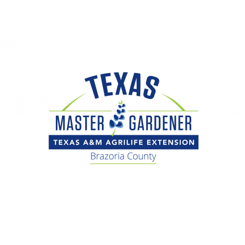 West Pearland &ndash; Adult: Seed Collecting