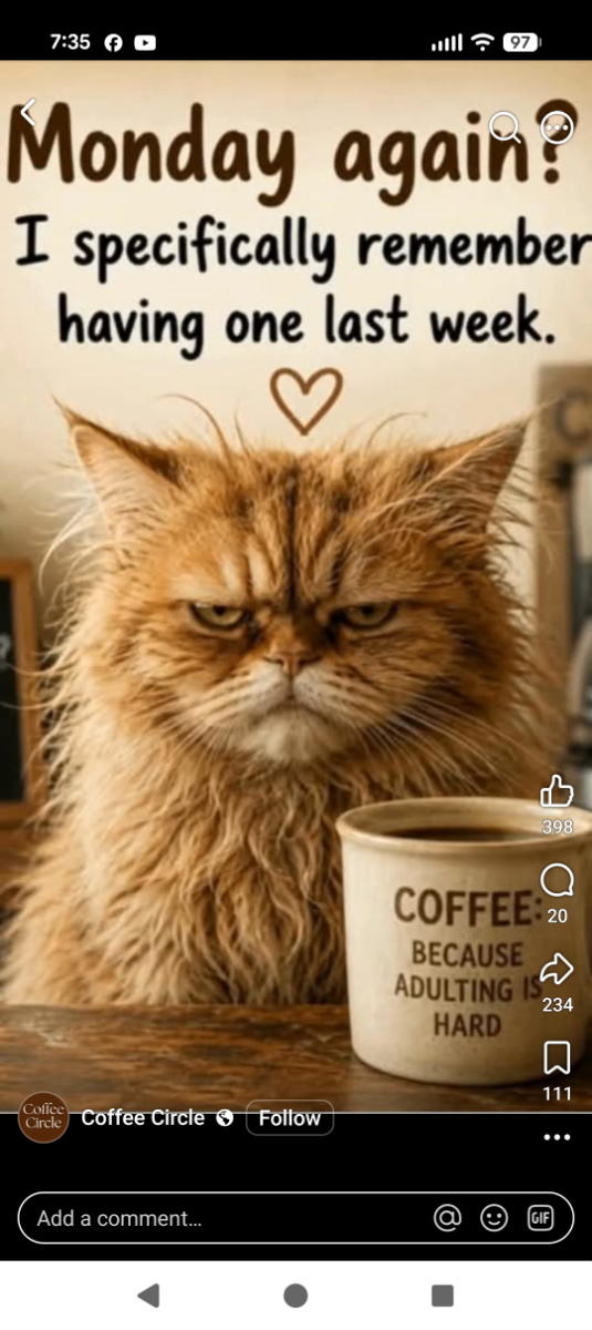 Loading Image...