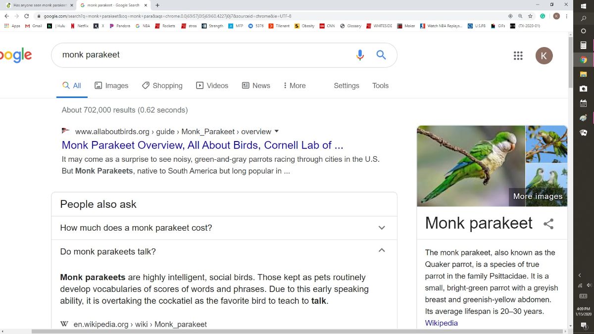 Has anyone seen monk parakeets in the Pearland area around Park