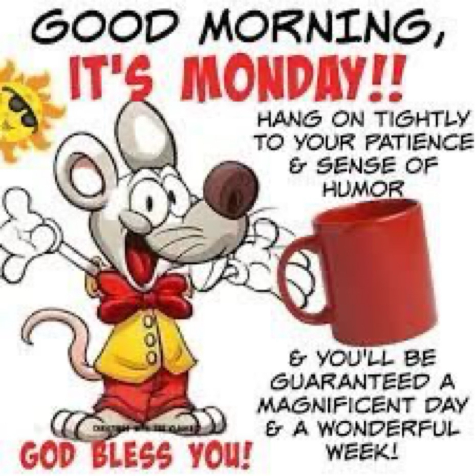 Good morning all happy Monday have a great day., image size:930x930