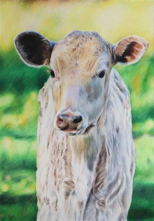 Seventeen Pearland students to display art at Houston Rodeo this