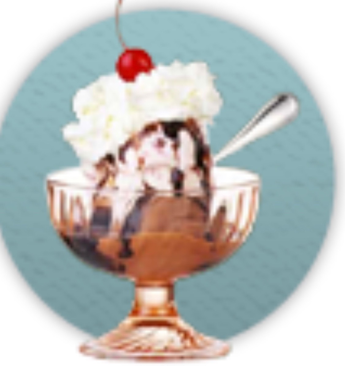 July 25, 2022 is National Hot Fudge Sundae Day! A sundae is the